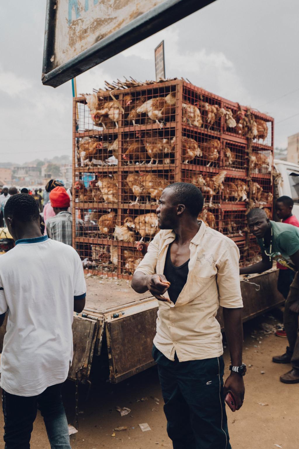 The Influence of Ethics of Care in Westernized Meat&nbsp;Consumption